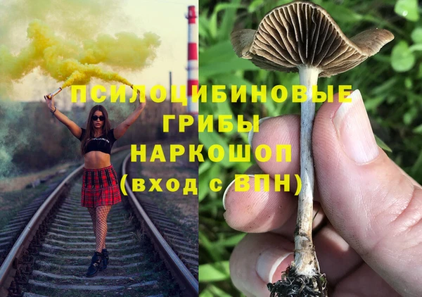 метадон Медногорск